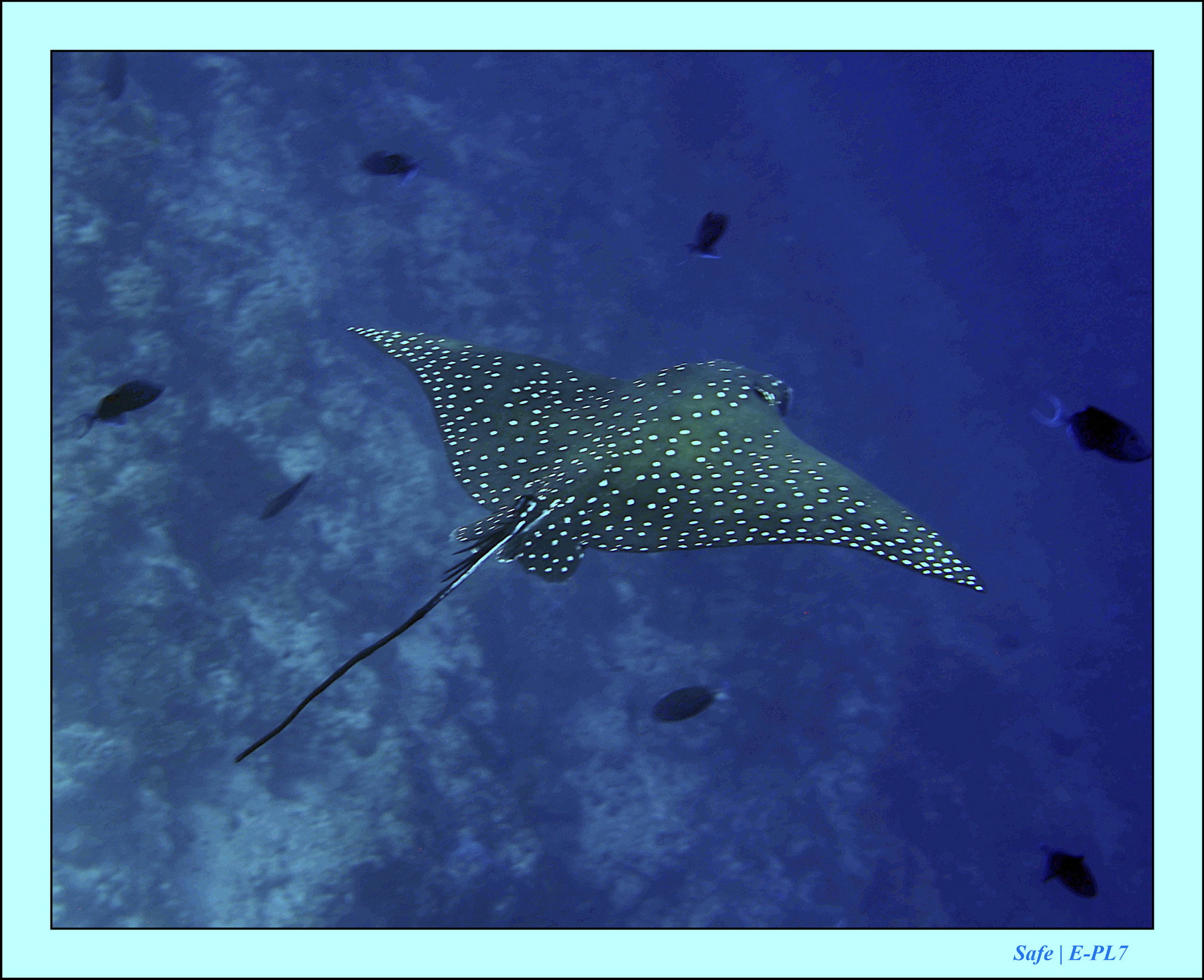 2023 - 07 - Sandies Bathala - 107